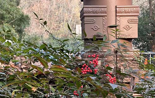 沈陽(yáng)人事代理的基本流程